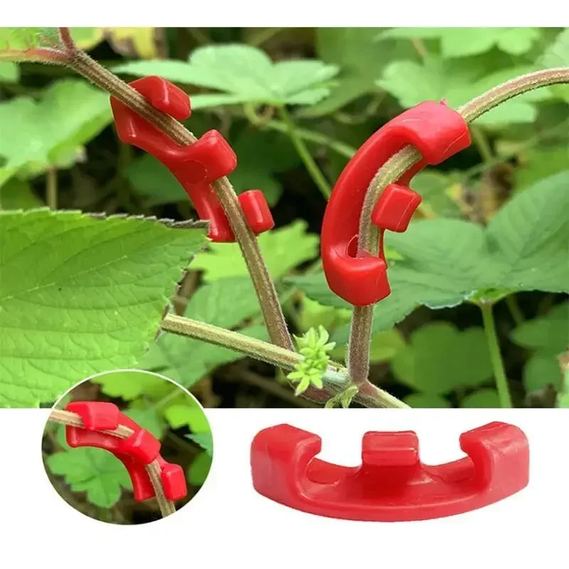 10-100Pcs 90 DegreePlant Train - Gardening Tools Lowes 评论和价格