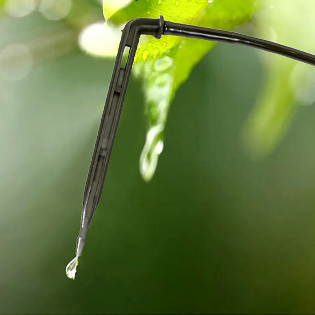 Arrow Dripper Joint Garden Irr - Gardening Tools For Beginners 评论和价格