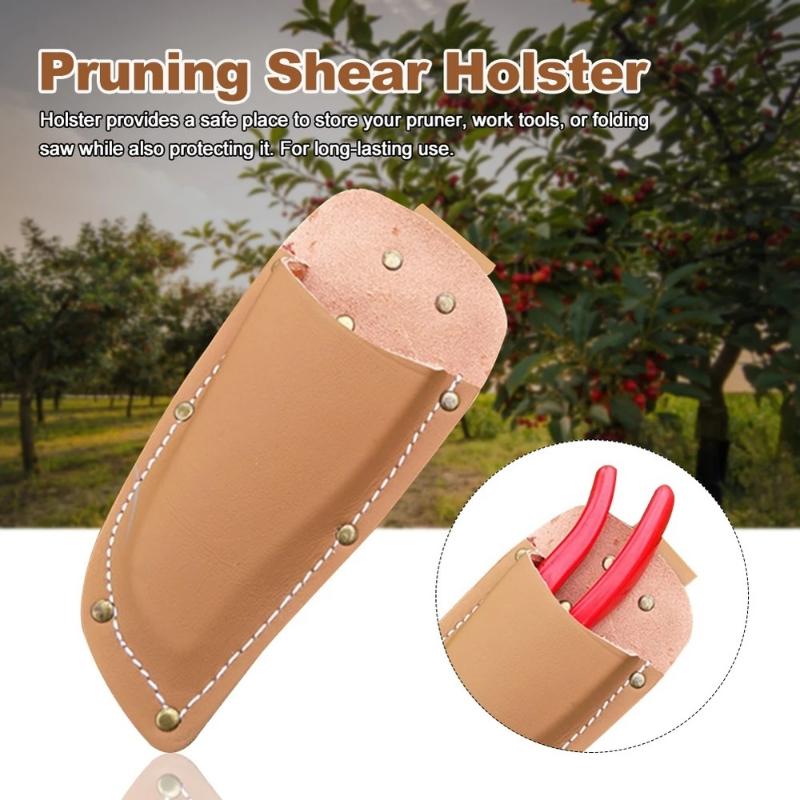 Professional Garden Trimming B - Essential Gardening Tools 评论和价格