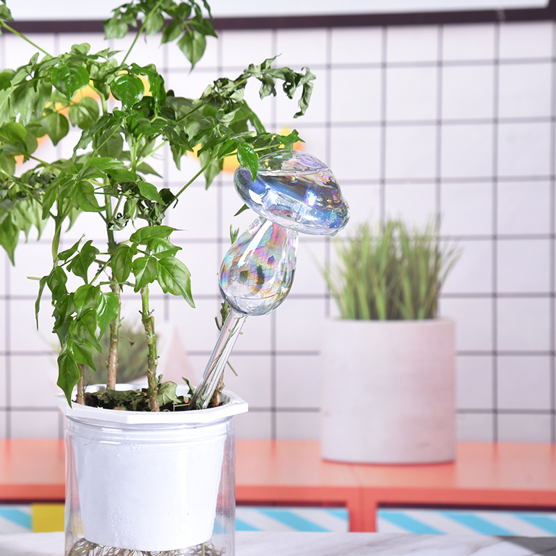1/2PCS Glass Straw Automatic P - Gardening Tools For Beginners 评论和价格