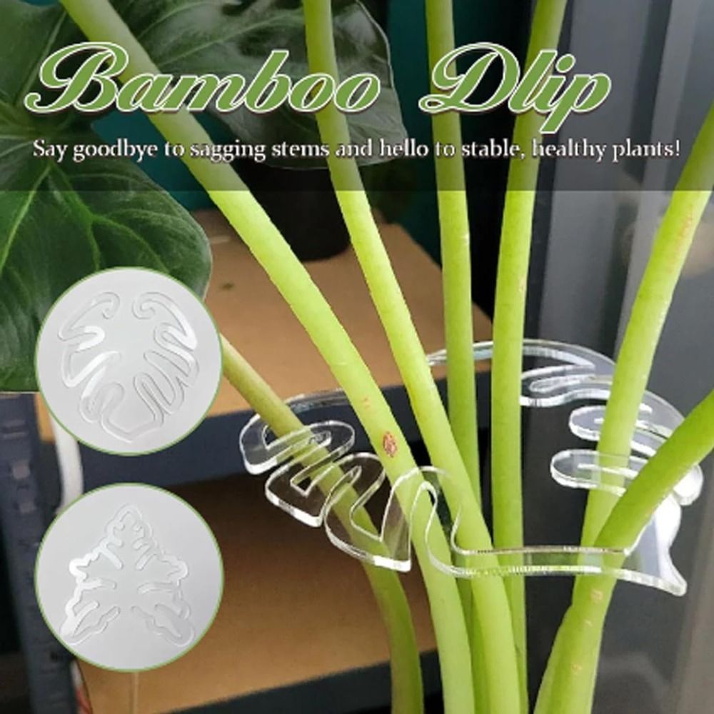 1/2PCS Reusable Turtle Shell B - Gardening Tools Organizer 评论和价格