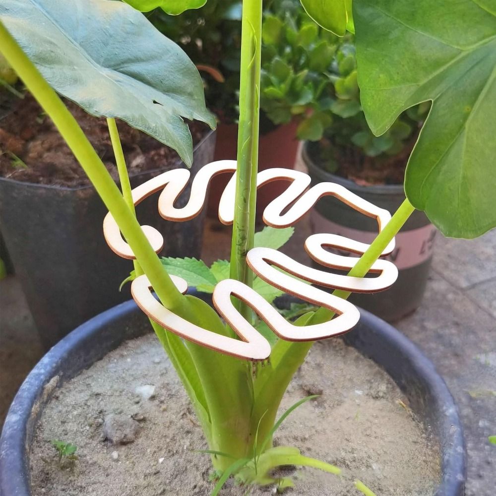 1/2PCS Reusable Turtle Shell B - Gardening Tools Organizer 评论和价格