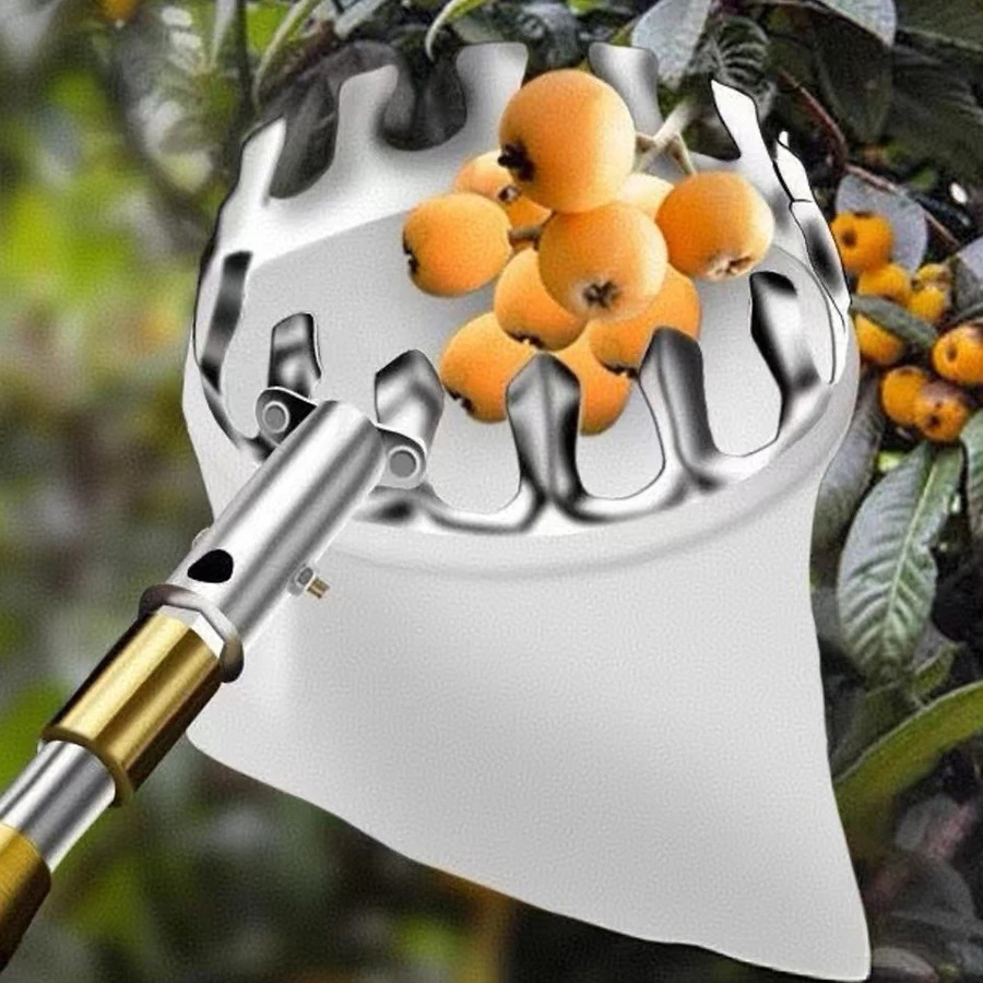 Professional Berry Picker Tool - Gardening Tools Organizer 评论和价格