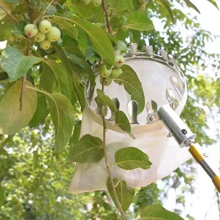 Professional Berry Picker Tool - Gardening Tools Organizer 评论和价格