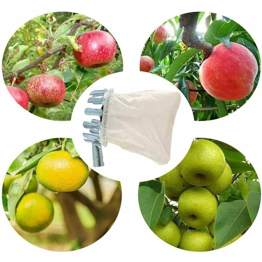 Professional Berry Picker Tool - Gardening Tools Organizer 评论和价格