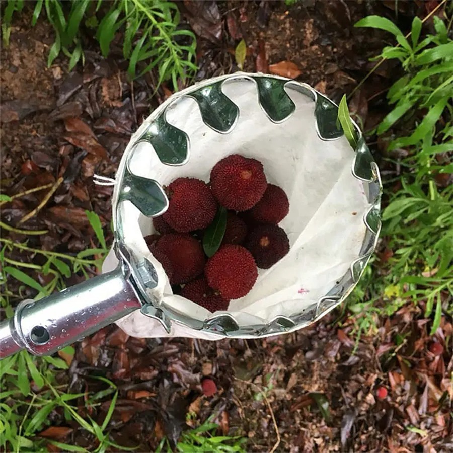 Professional Berry Picker Tool - Gardening Tools Organizer 评论和价格
