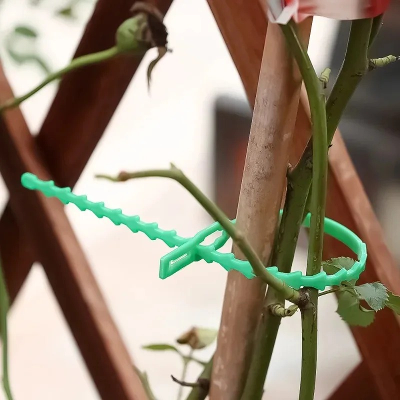 Reusable Garden Cable Ties Pla - Gardening Tools Organizer 评论和价格