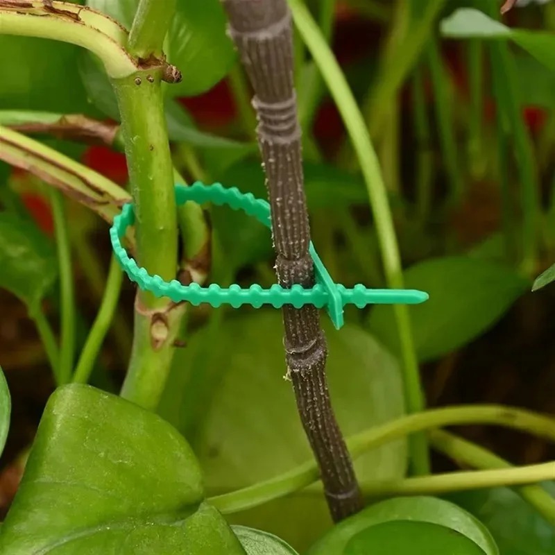 Reusable Garden Cable Ties Pla - Gardening Tools Organizer 评论和价格