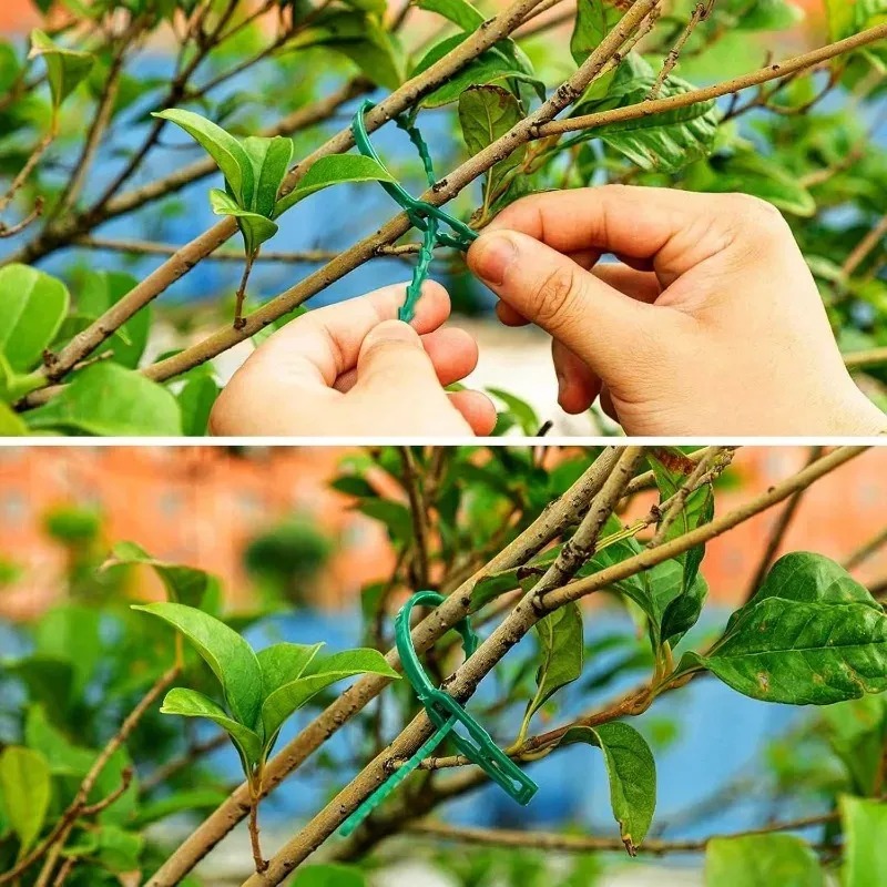 Reusable Garden Cable Ties Pla - Gardening Tools Organizer 评论和价格