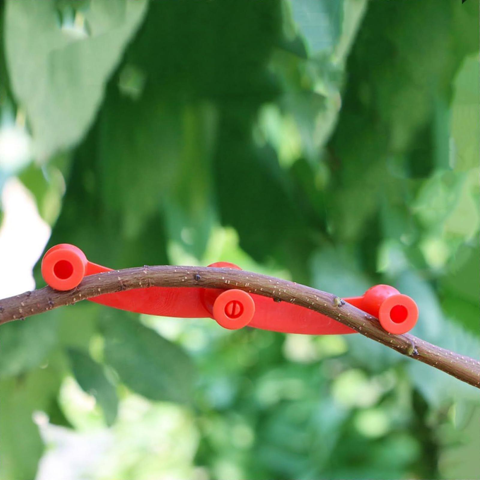 10pcs Plant Training Clips Tre - Gardening Tools Lowes 评论和价格