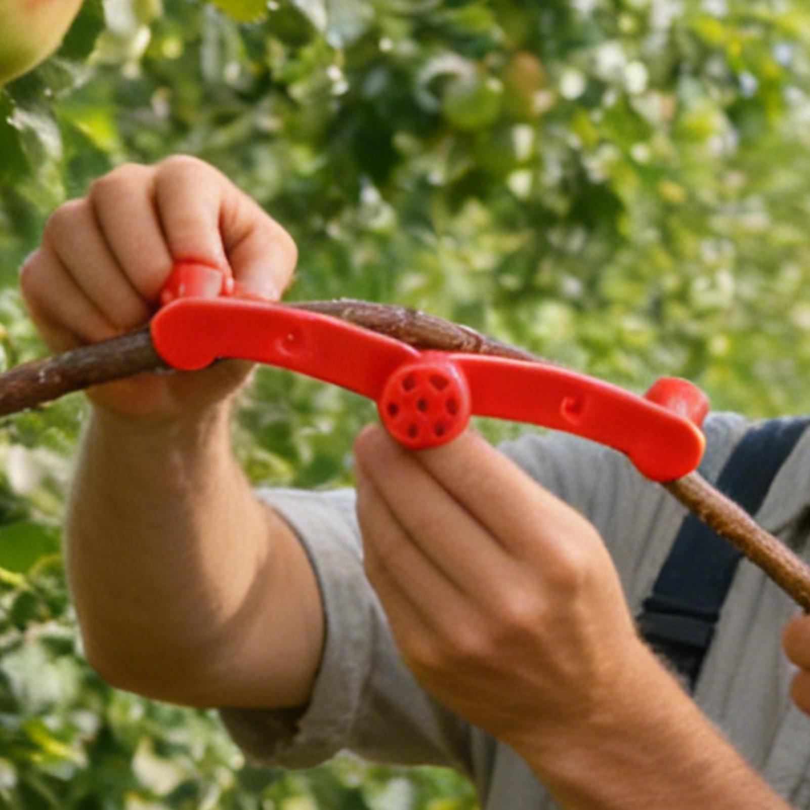 10pcs Plant Training Clips Tre - Gardening Tools Lowes 评论和价格