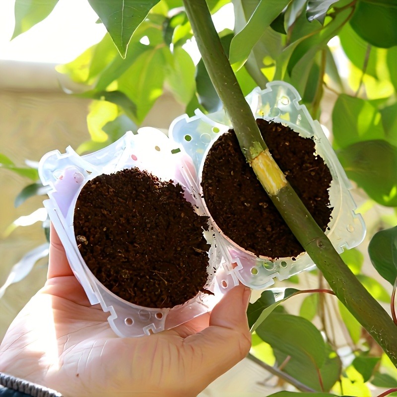 10Pcs High Pressure Plant Root - Gardening Tools Organizer 评论和价格