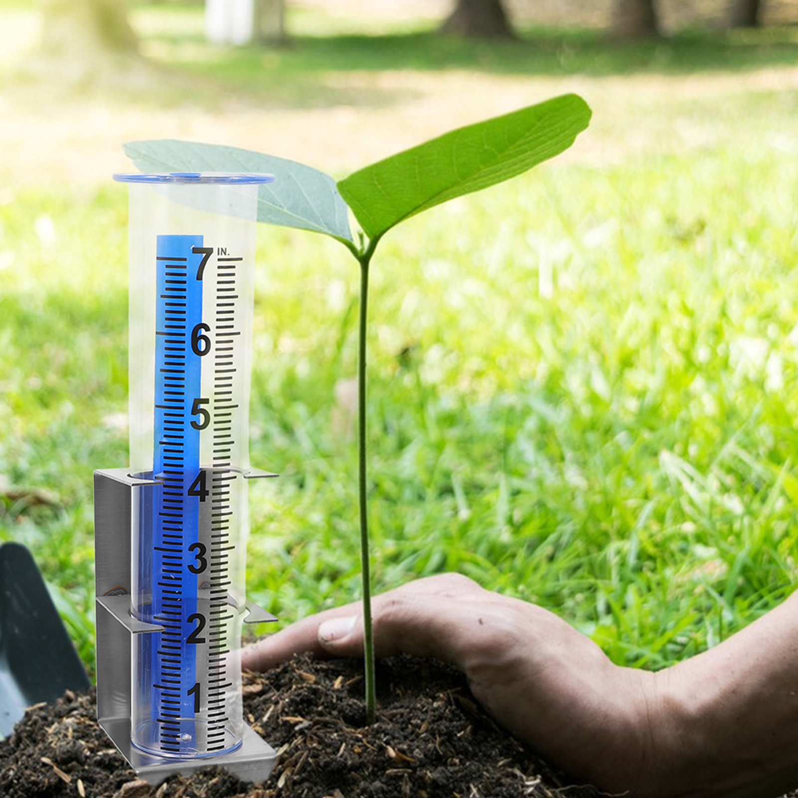 Rain Gauge Stainless Steel Rac - Gardening Yard Tools 评论和价格