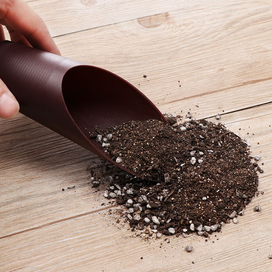 1PC Plastic Soil Shovel Cup Fo - Gardening Tools Spade 评论和价格